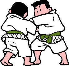 judo grön.jpg